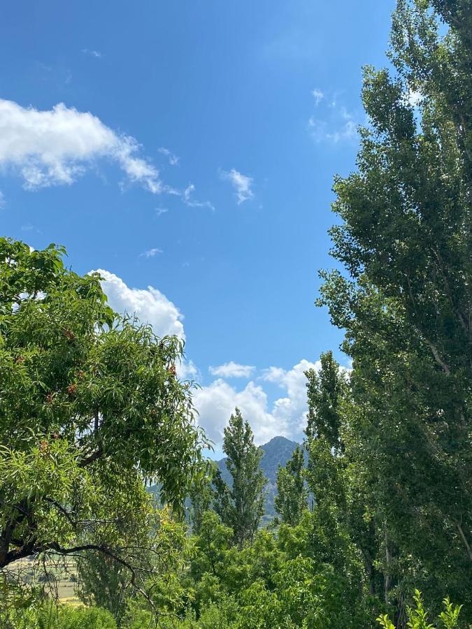 Alojamiento Casas del Pobre en el Campo de Bejar Moratalla  Exterior foto